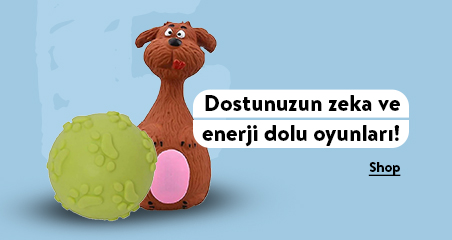 banner/images/BANNERS/HOMEPAGE_BANNERS/type D - 3.jpg